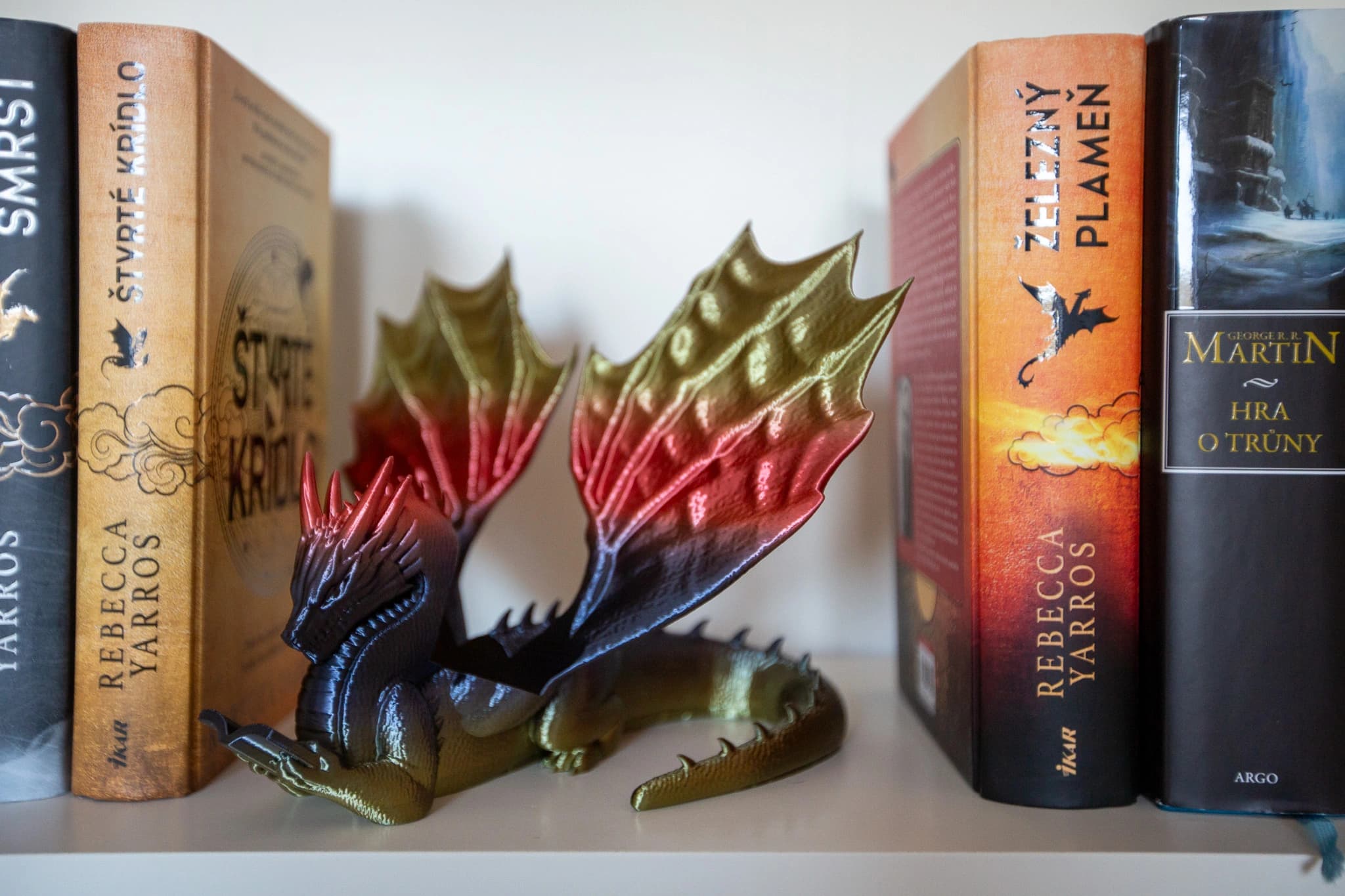 Dračí knihomol - dekorace do knihovny