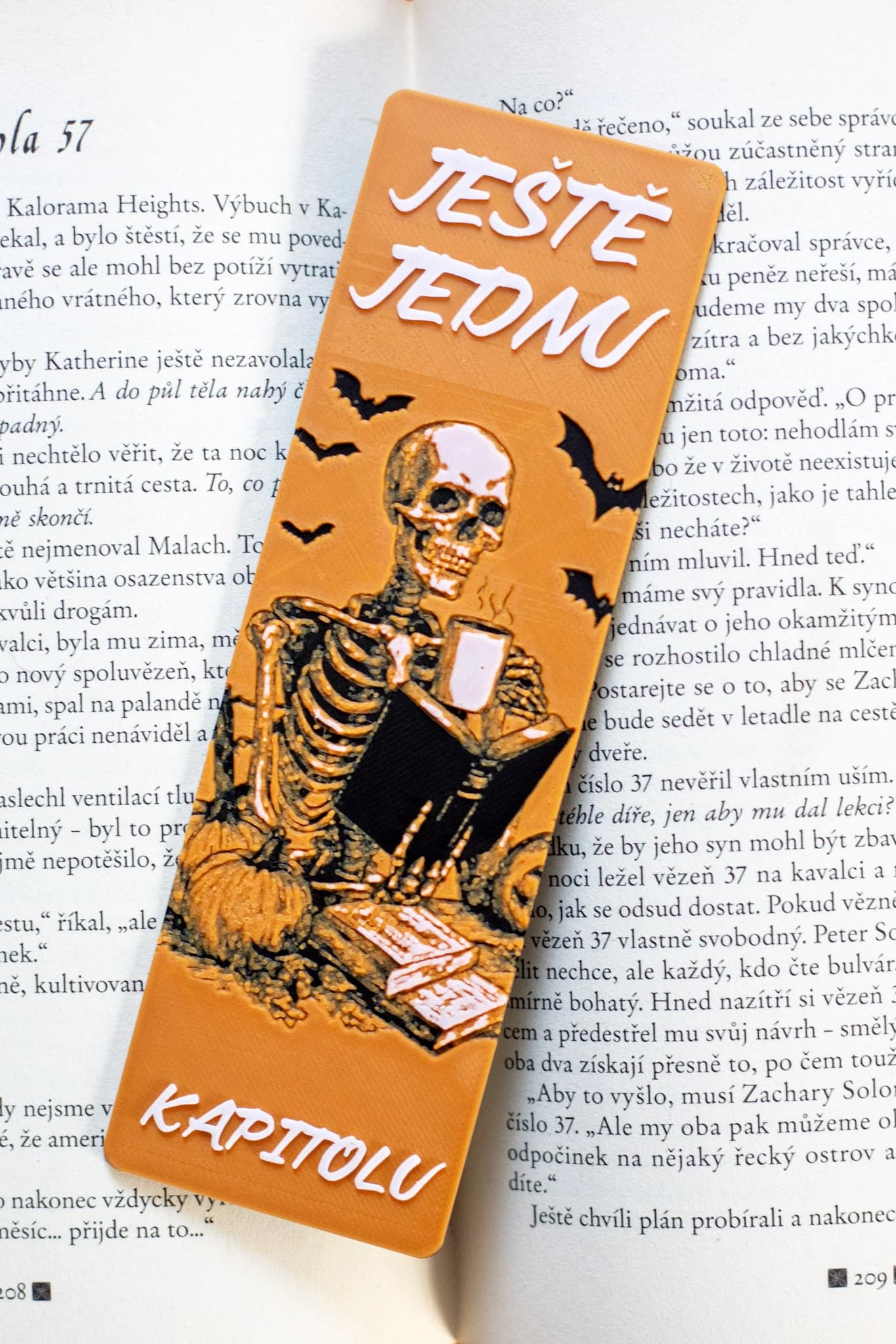 Záložka – Ještě jednu kapitolu